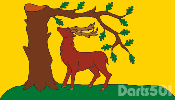 County Flag