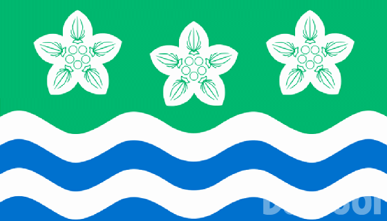 County Flag