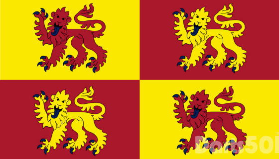 County Flag