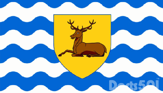 County Flag