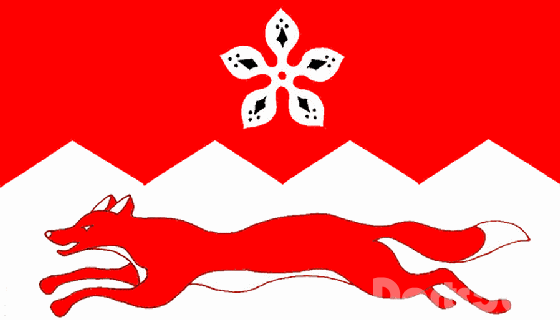 County Flag