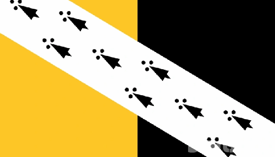 County Flag