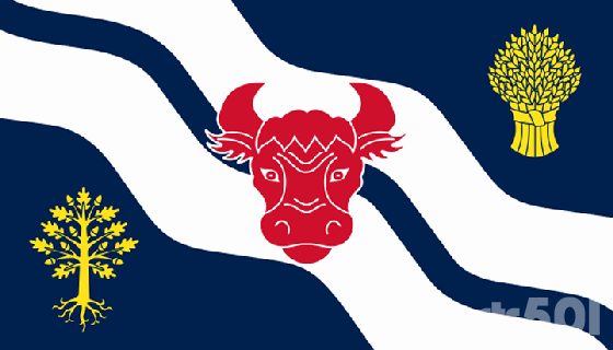 County Flag