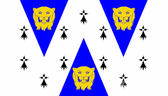 County Flag